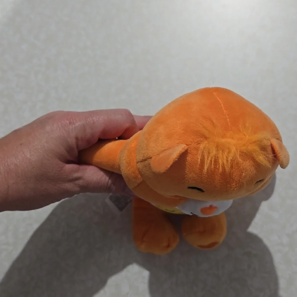 Care Bears Orange Friend Bear 9‎ Inch